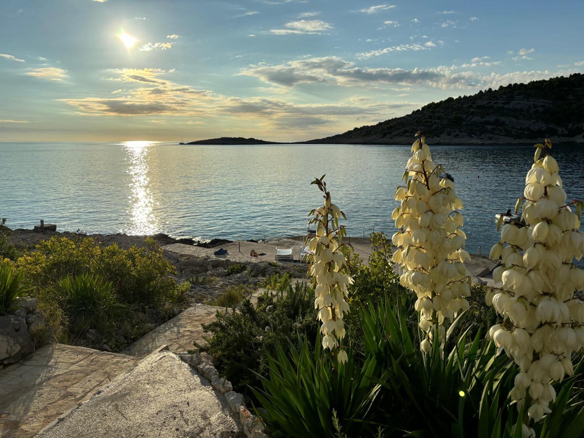 Direkt Am Meer-Apartments Puntaplanka Rogoznica  Kültér fotó
